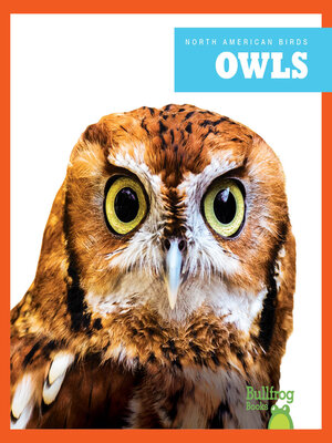 cover image of Owls
